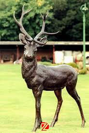 Life size bronze deer statue